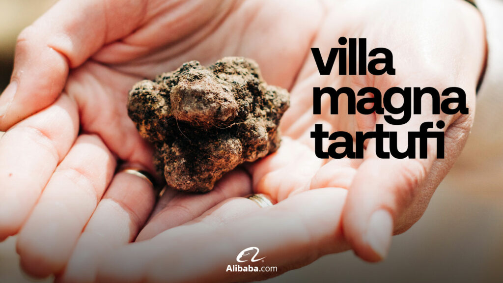 Tartufo in una mano e scritta Villa magna tartufi per Alibaba