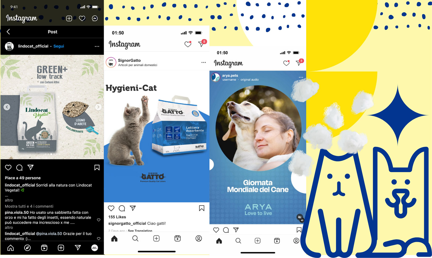 Schermate post instagram con gatti e lettiere