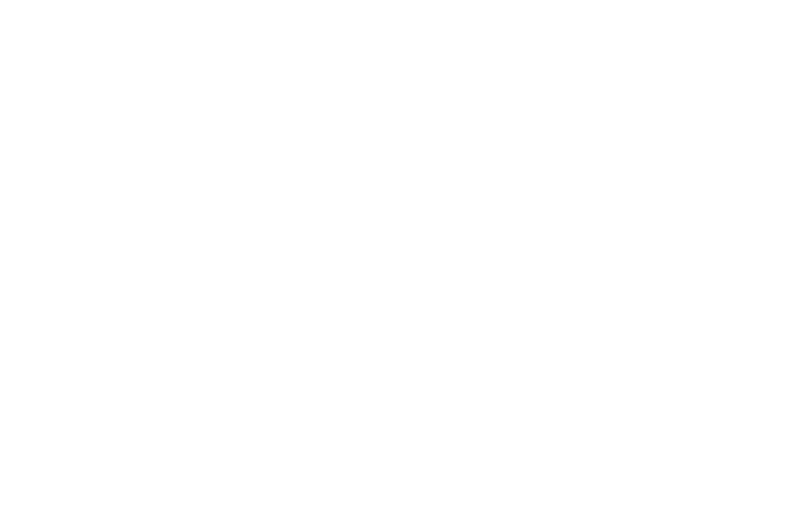Logo Sintesi-Minerva
