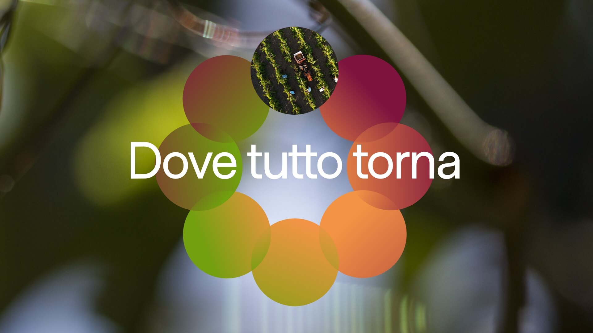 Grafica con bolli colorati e scritta Dove tutto torna