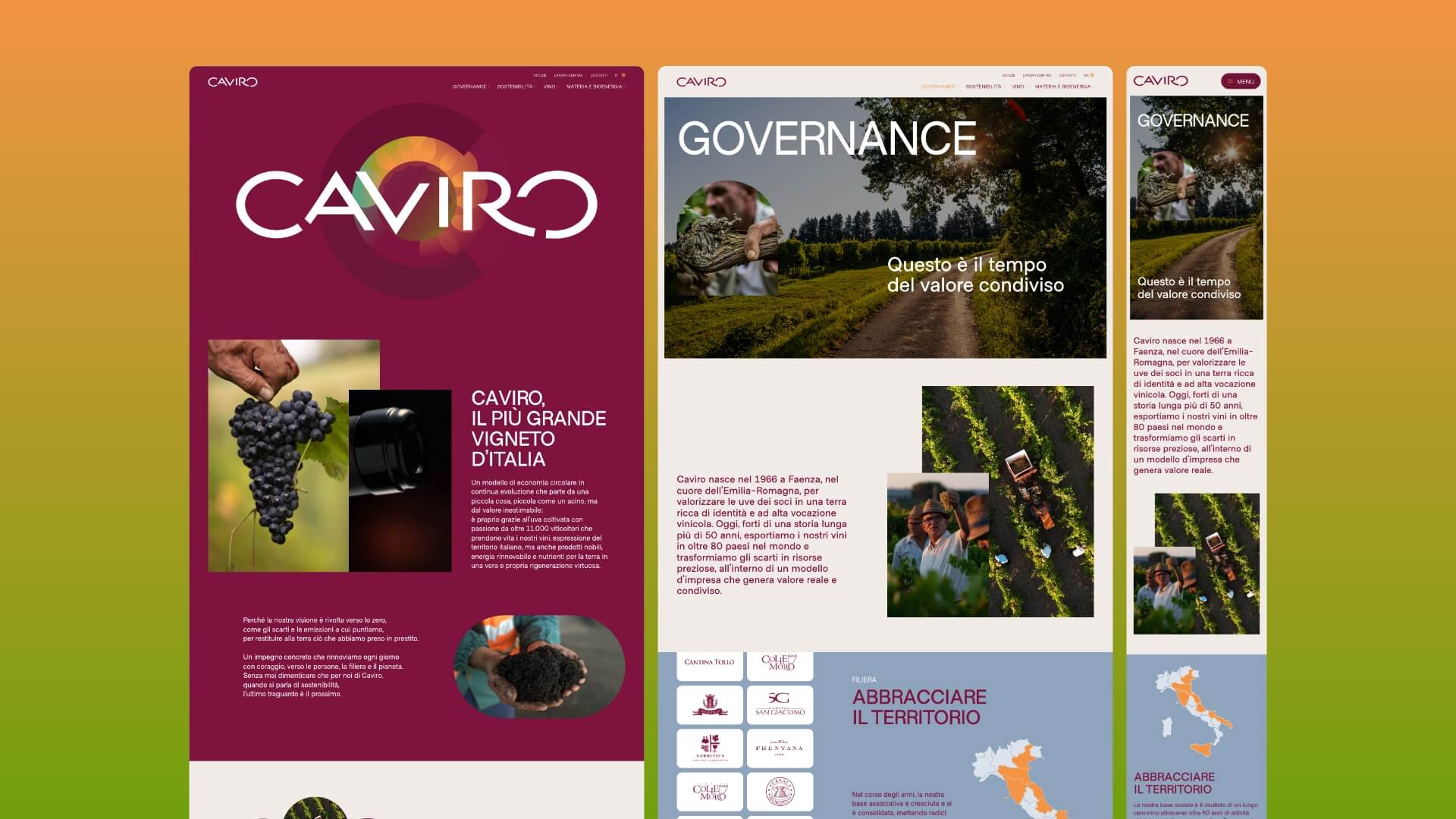Schermate del sito Caviro: home, governance